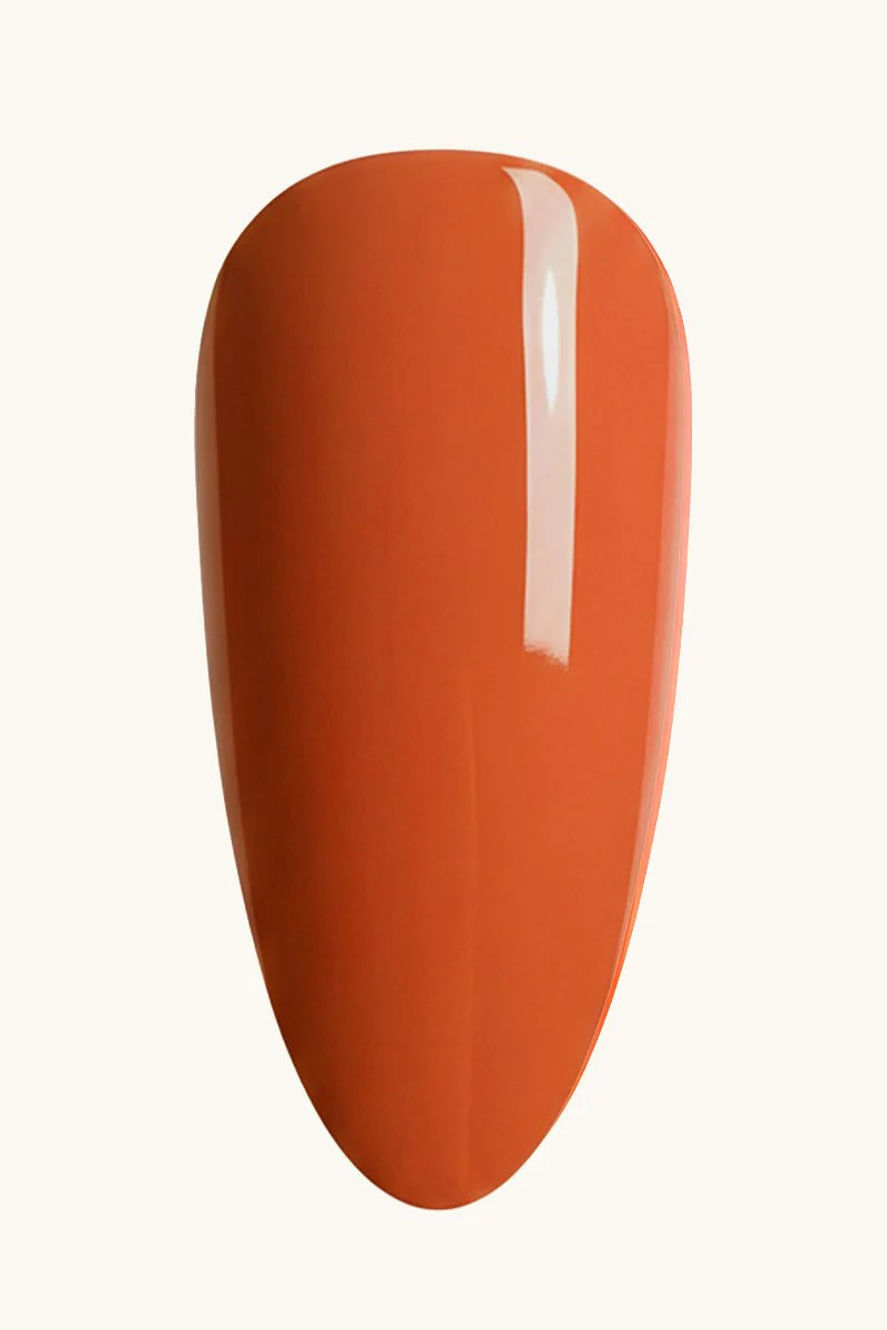 Miniaturebillede 2