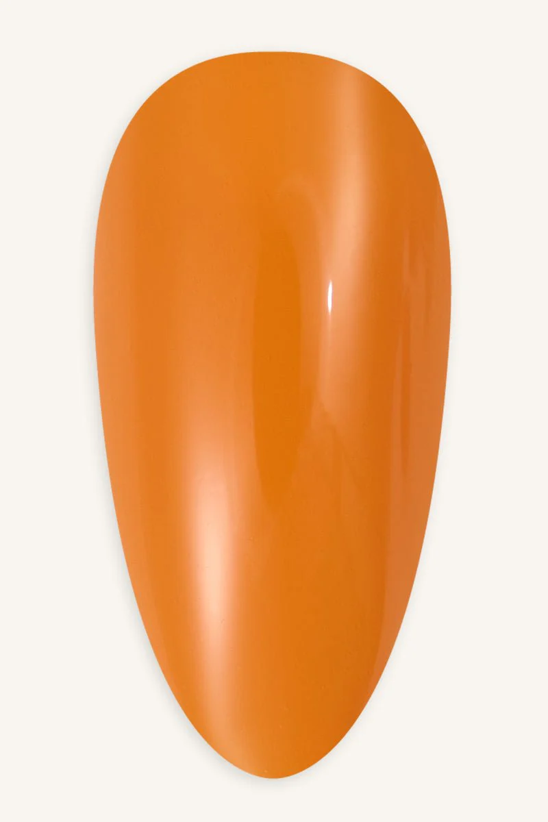 Pumpkin · 53 - Image 2