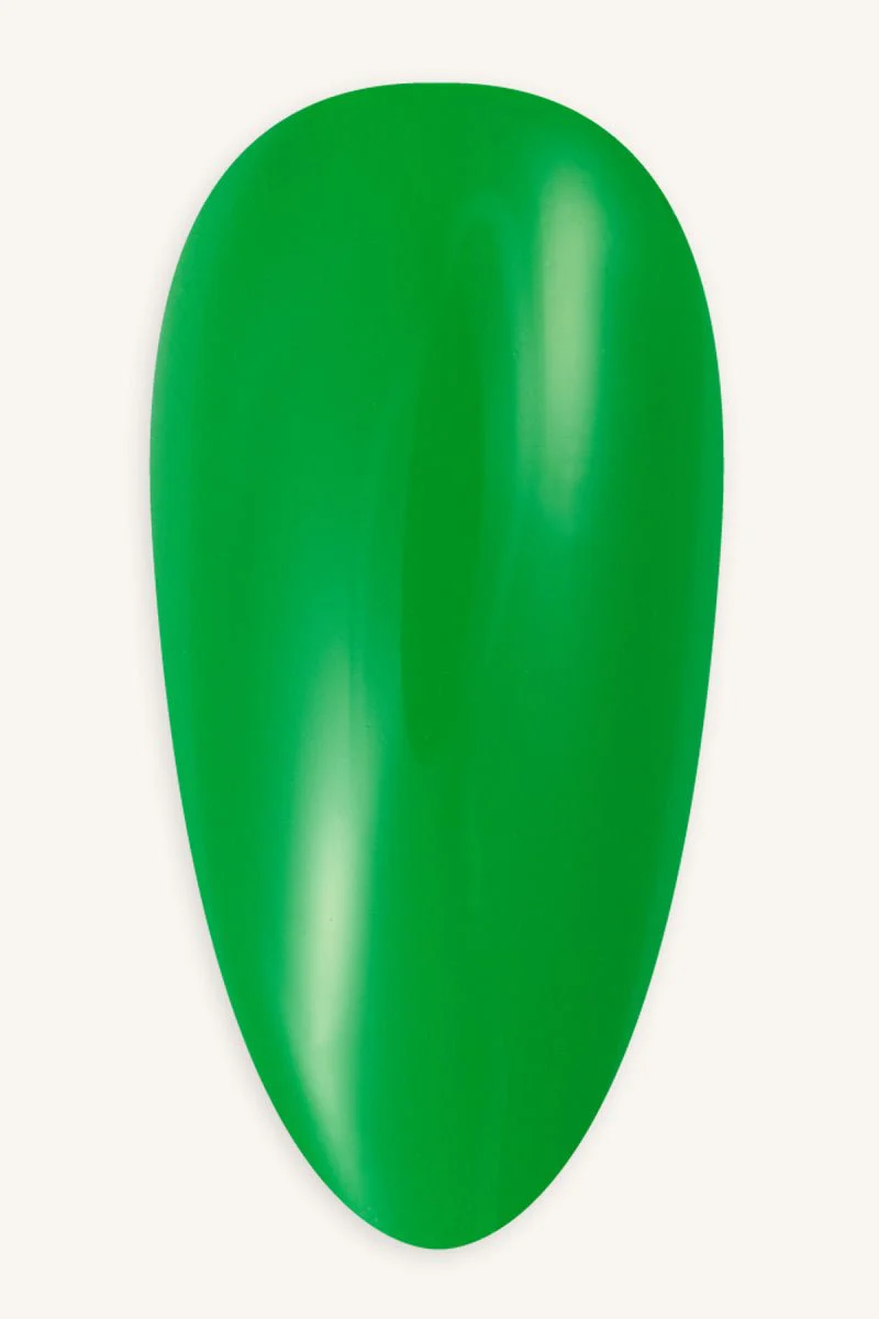 Turtle · 68 - Image 2