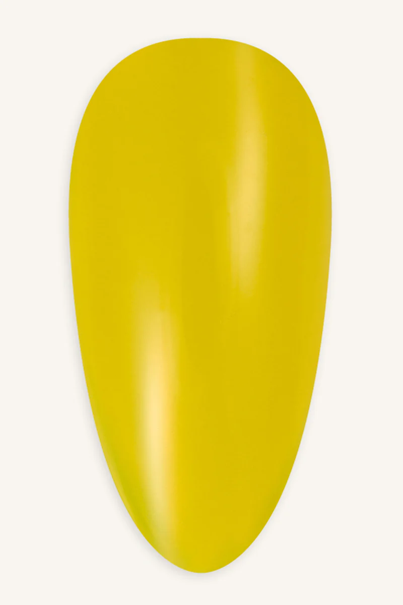 Miniaturebillede 2