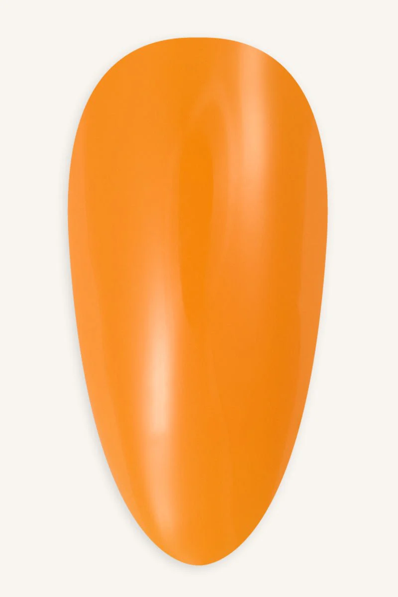 Dark Curry · 238 - Image 2