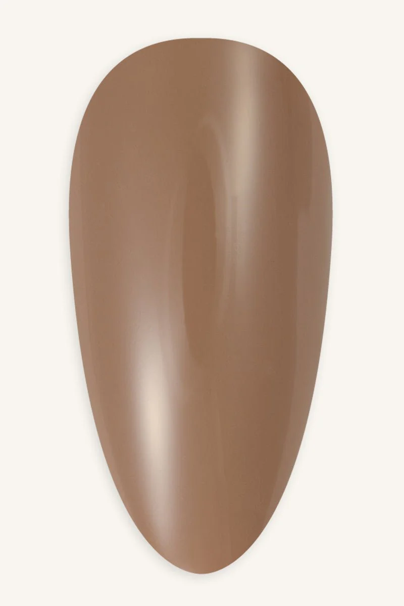 Hazelnut · 247 - Image 2