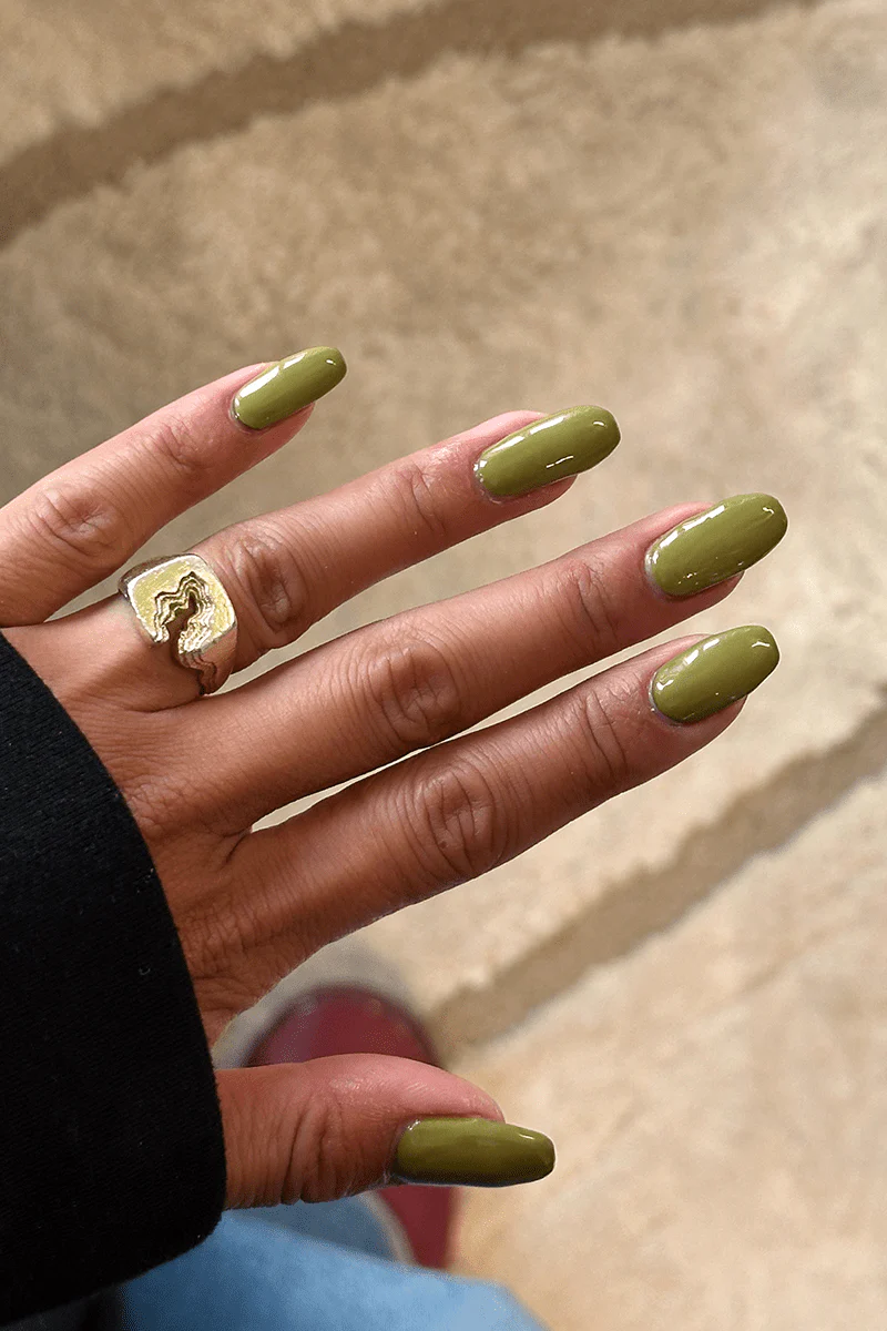 Olive · 486 - Image 3