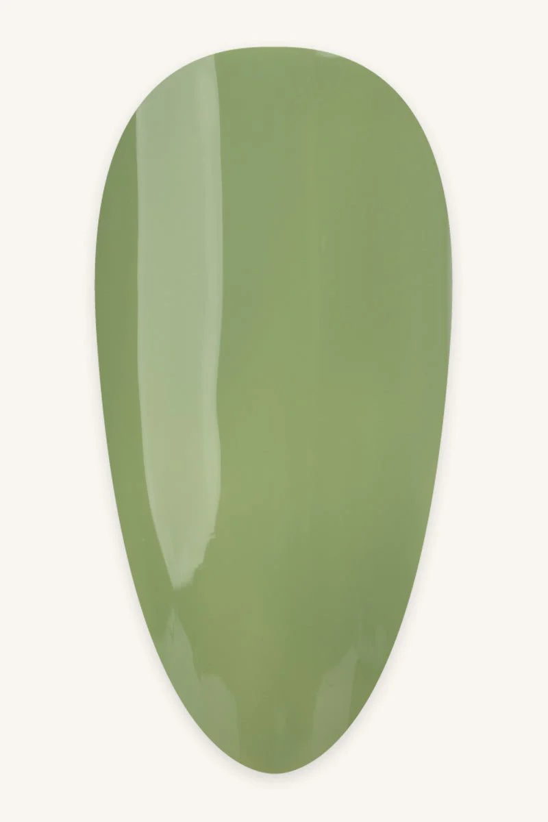 Pistachio · 488 - Image 2
