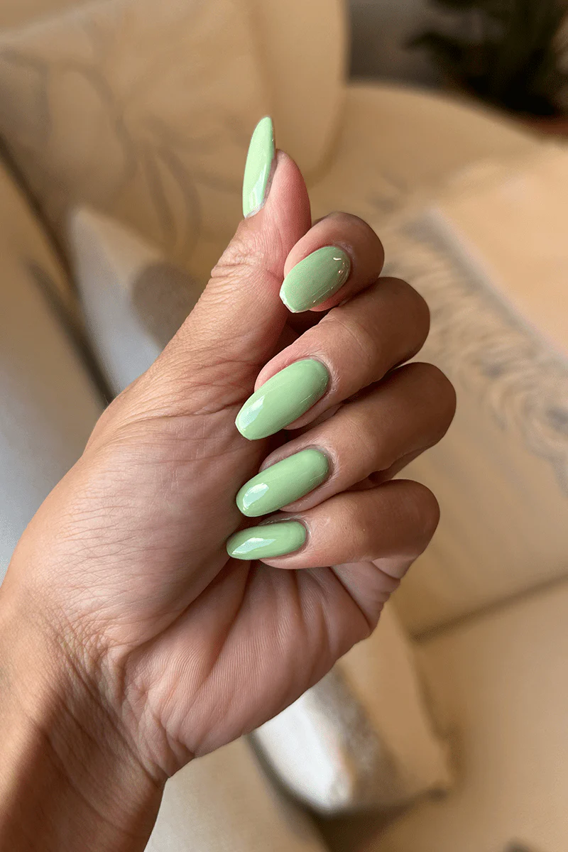 Pistachio · 488 - Image 3