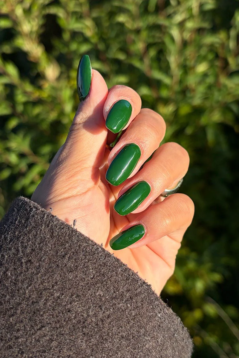 Cucumber · 514 - Image 3