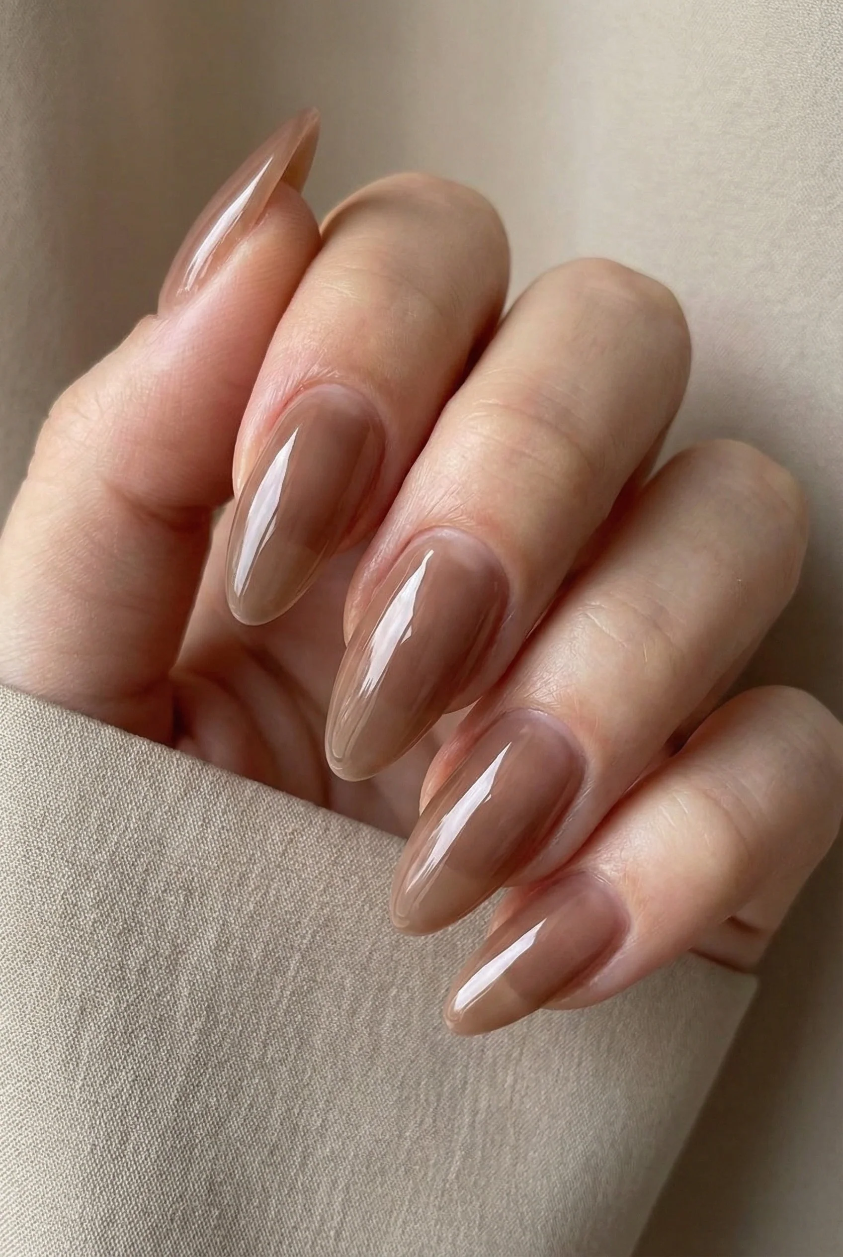 Brown Trace · 526 - Image 3